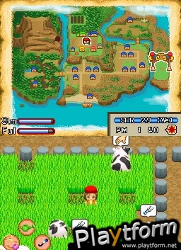 Harvest Moon DS: Island of Happiness (DS)