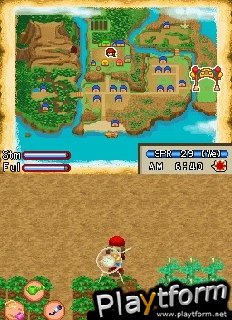 Harvest Moon DS: Island of Happiness (DS)