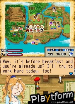 Harvest Moon DS: Island of Happiness (DS)