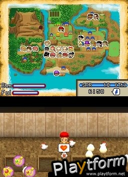 Harvest Moon DS: Island of Happiness (DS)