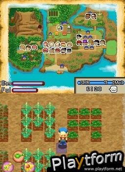 Harvest Moon DS: Island of Happiness (DS)