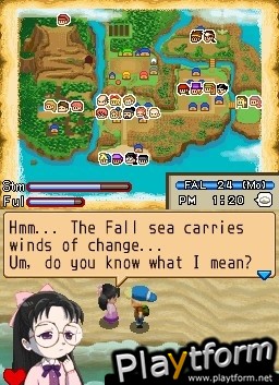 Harvest Moon DS: Island of Happiness (DS)