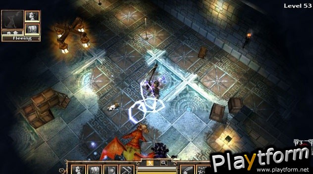 Fate: Undiscovered Realms (PC)