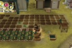 Harvest Moon: Tree of Tranquility (Wii)