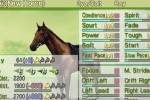 G1 Jockey Wii 2008 (Wii)