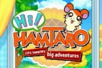 Hamtaro Ham-Ham Challenge (DS)