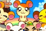 Hamtaro Ham-Ham Challenge (DS)