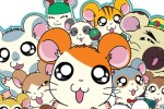 Hamtaro Ham-Ham Challenge (DS)