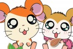 Hamtaro Ham-Ham Challenge (DS)