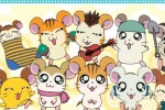 Hamtaro Ham-Ham Challenge (DS)