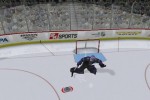 NHL 2K9 (Wii)