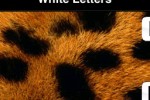 White Letters (iPhone/iPod)