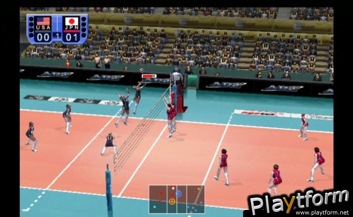 Women's Volleyball Championship (PlayStation 2)