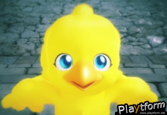 Final Fantasy Fables: Chocobo's Dungeon (Wii)