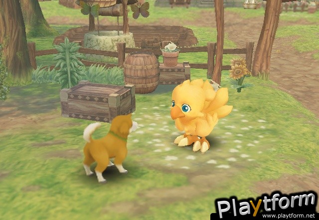 Final Fantasy Fables: Chocobo's Dungeon (Wii)