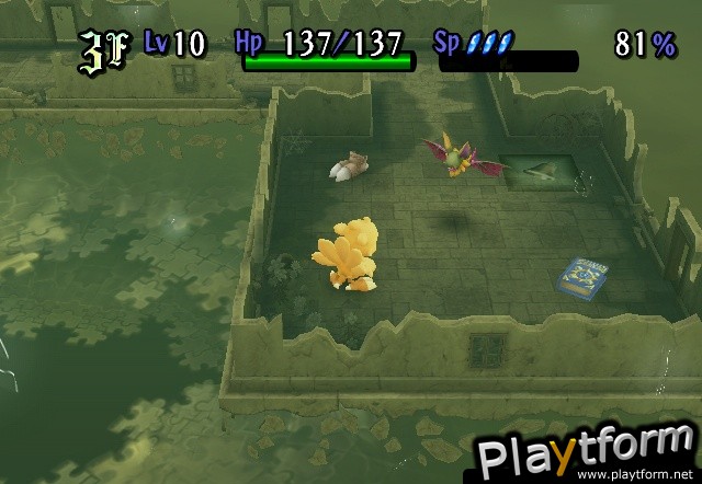 Final Fantasy Fables: Chocobo's Dungeon (Wii)