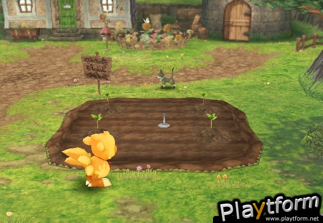 Final Fantasy Fables: Chocobo's Dungeon (Wii)