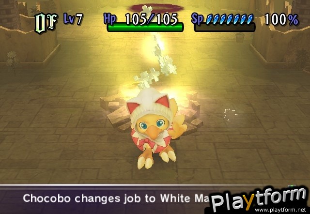 Final Fantasy Fables: Chocobo's Dungeon (Wii)