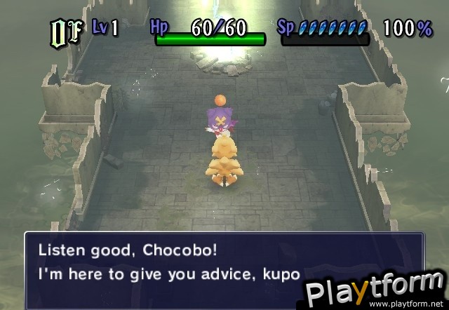 Final Fantasy Fables: Chocobo's Dungeon (Wii)