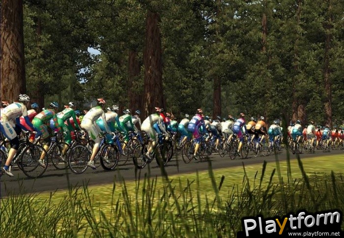 Pro Cycling Manager/Tour de France 2008 (PC)