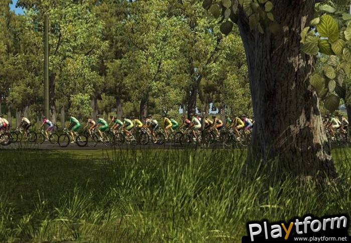 Pro Cycling Manager/Tour de France 2008 (PC)