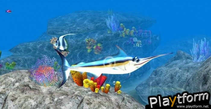 Sea Life Safari (Xbox 360)