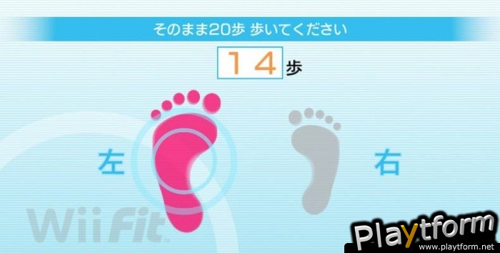 Wii Fit (Wii)