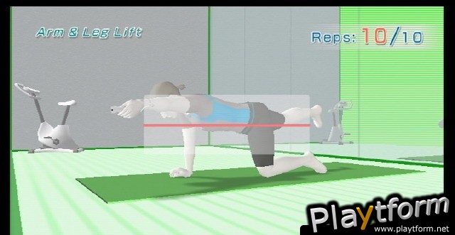 Wii Fit (Wii)