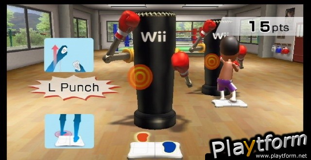 Wii Fit (Wii)