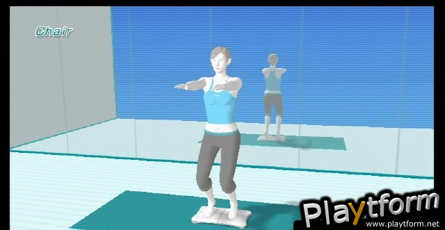 Wii Fit (Wii)