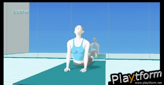 Wii Fit (Wii)