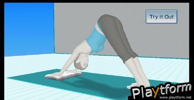 Wii Fit (Wii)