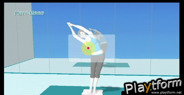 Wii Fit (Wii)