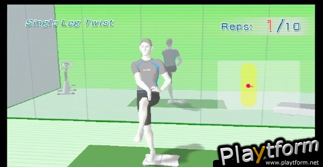 Wii Fit (Wii)