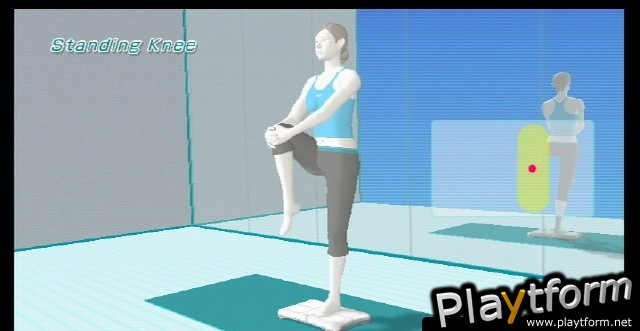 Wii Fit (Wii)