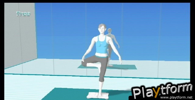 Wii Fit (Wii)