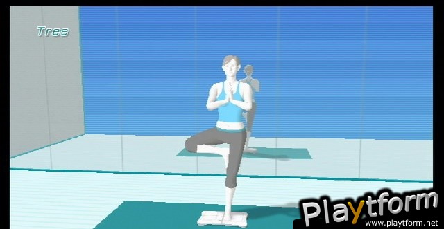 Wii Fit (Wii)