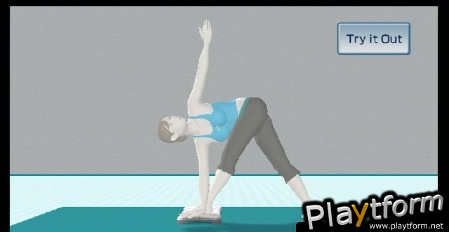 Wii Fit (Wii)