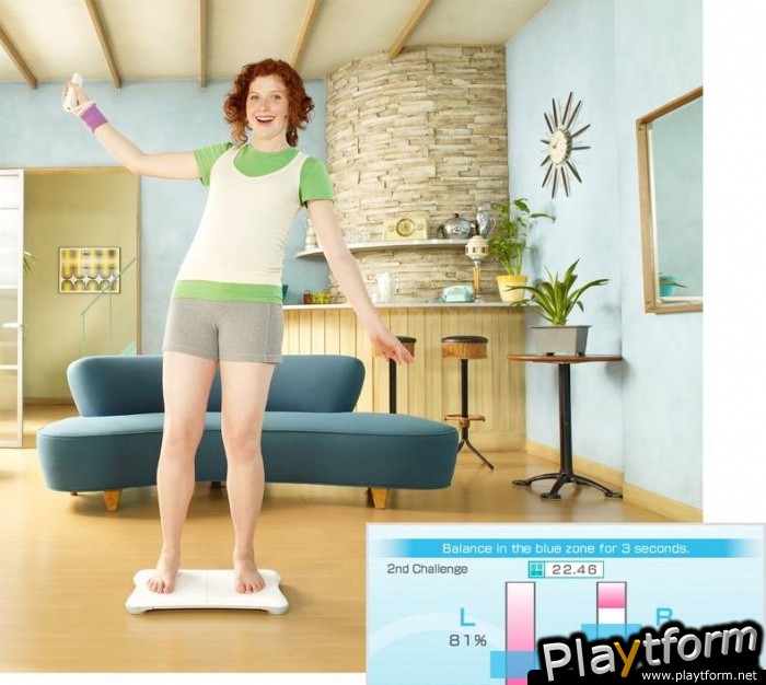 Wii Fit (Wii)