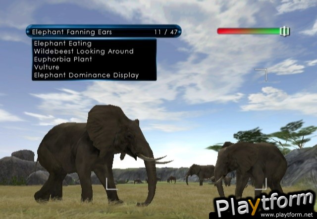 Wild Earth: African Safari (Wii)