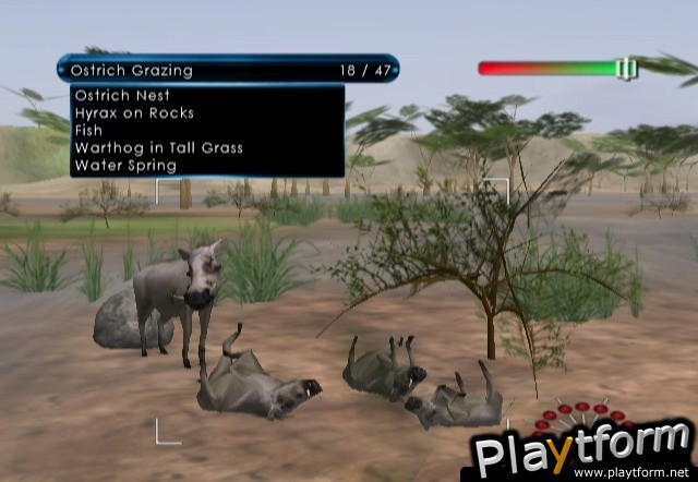 Wild Earth: African Safari (Wii)