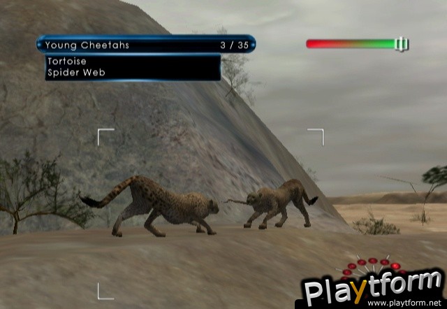 Wild Earth: African Safari (Wii)