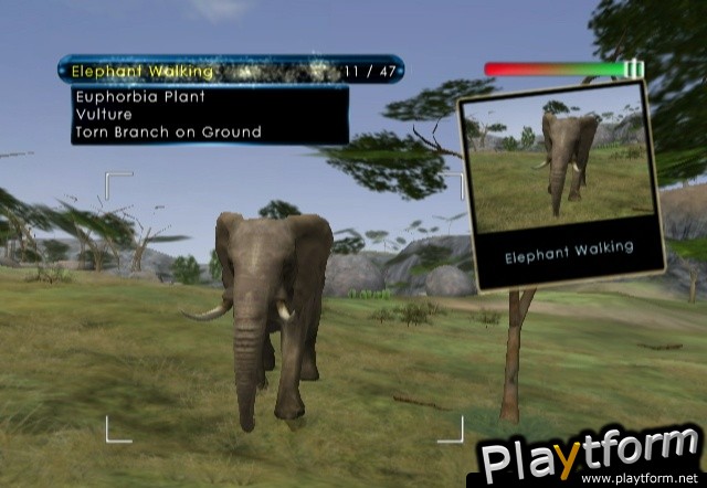 Wild Earth: African Safari (Wii)