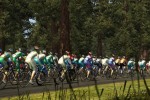 Pro Cycling Manager/Tour de France 2008 (PC)