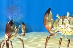 Sea Life Safari (Xbox 360)