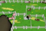 Critter Round-Up (Wii)