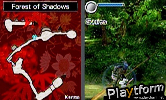 Ninja Gaiden Dragon Sword (DS)