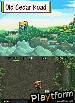 Mystery Dungeon: Shiren the Wanderer (DS)