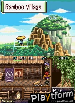 Mystery Dungeon: Shiren the Wanderer (DS)