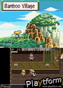 Mystery Dungeon: Shiren the Wanderer (DS)